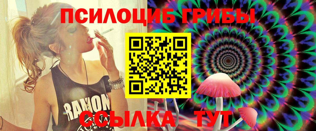 Тобольск  Галлюциногенные грибы прущие грибы  Вход с VPN 